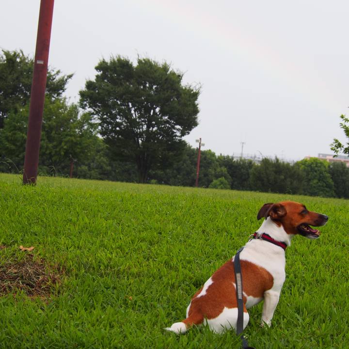 7a18bfe0 ad8d 48e4 a41a 4a5b802a4ef4