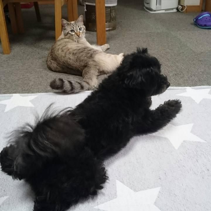 7a1900fc 65af 4a10 bb69 b82655bcc282