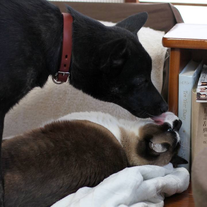 7a19447a 0f06 4884 8349 96f5d49b399f