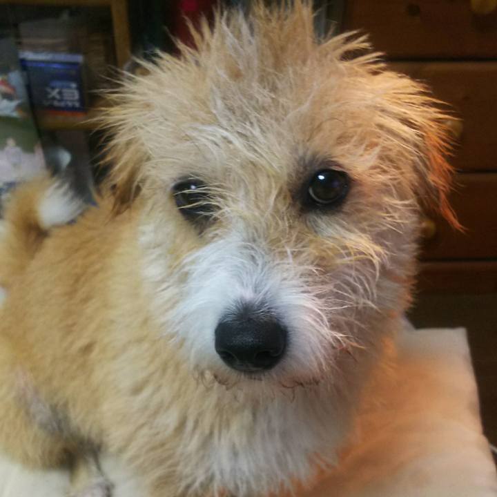 7a19dd26 2bee 48e9 974b 86d4e3874494