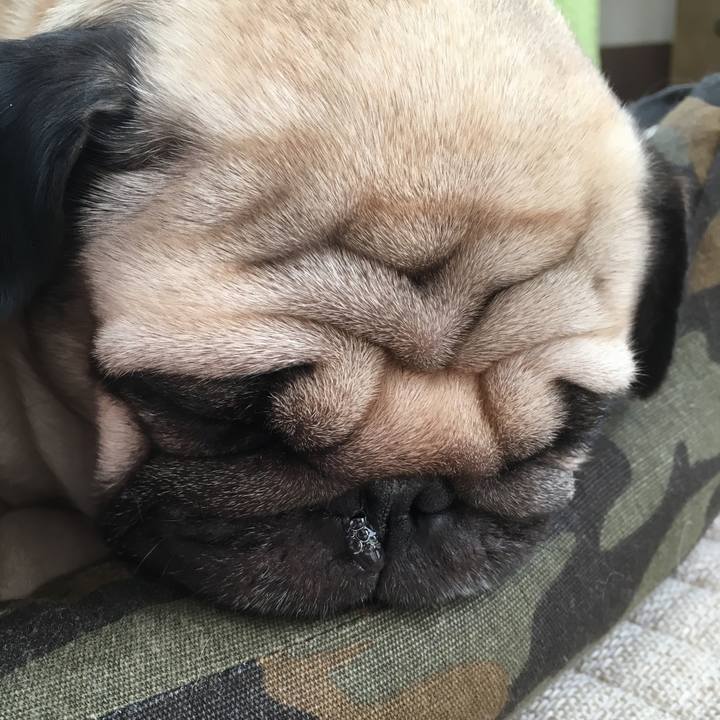 7a1aa49b 7eaa 4a68 8ab4 f7393dadb469