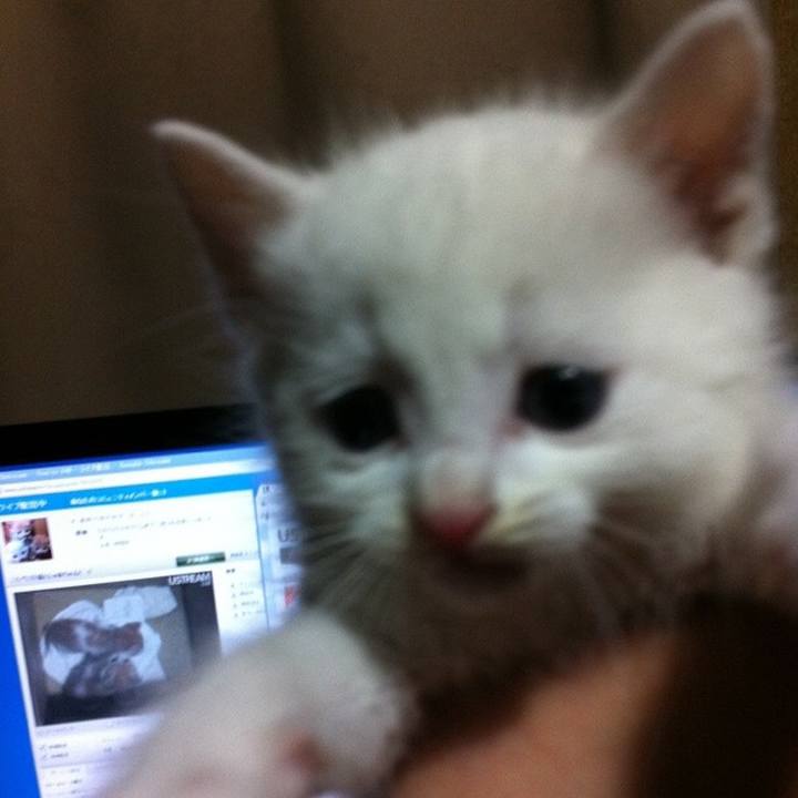 7a1ab845 c73d 42da 8327 9f3d7843f8fb