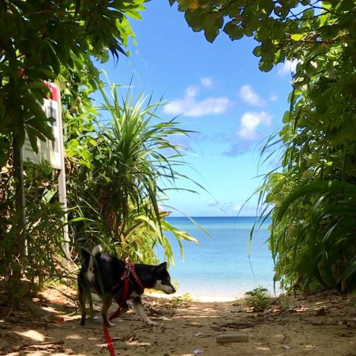 7a1ad3ee 3427 442d 944f 8506f459ea64