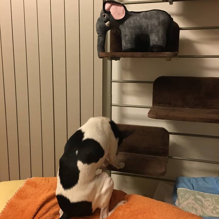 7a1b409e ac87 4b68 aaf9 100ea2ca3755