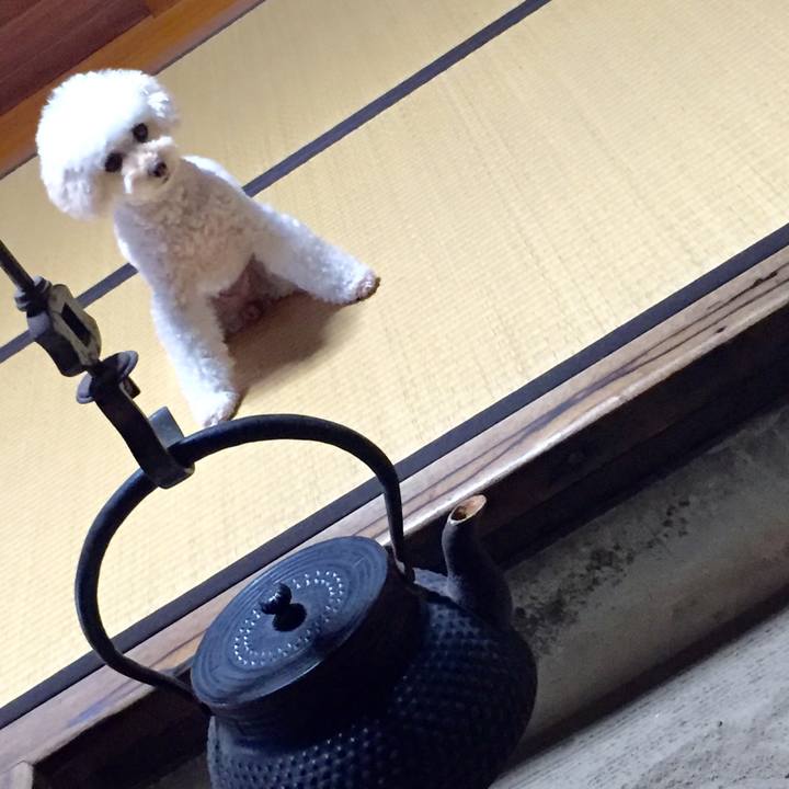 7a1b4317 bbf8 4248 ac77 3cce69ad9964