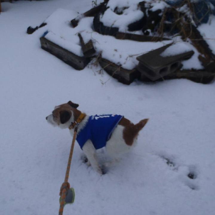 7a1bc579 82d6 429f b58a c9f9eb4f4492