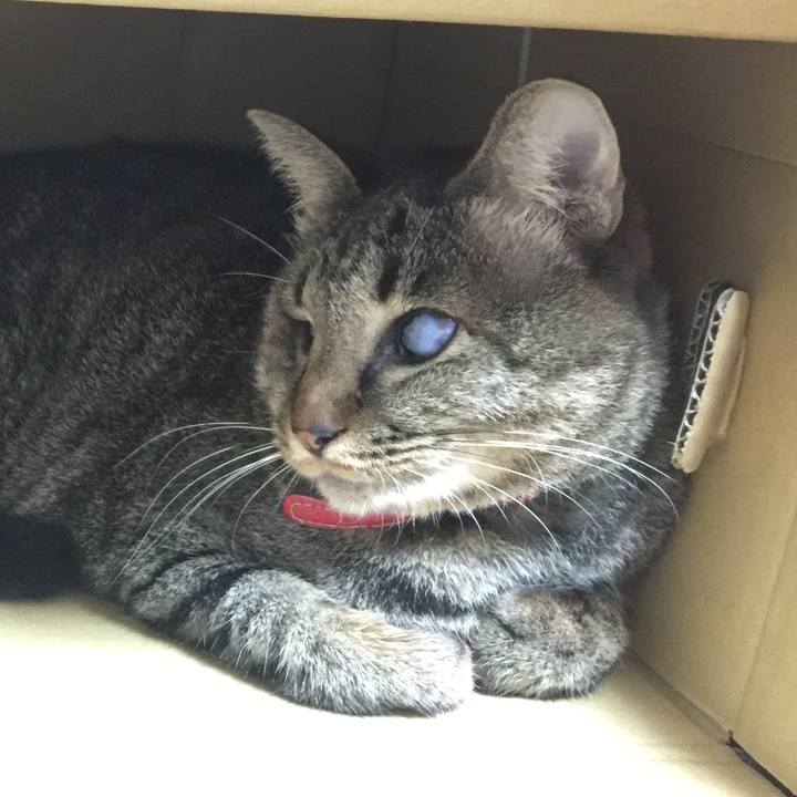 7a1bde16 daf6 4177 a1e0 cb2ccda0b837