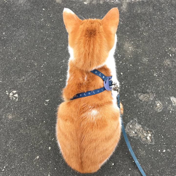 7a1c4648 0e0b 4a4d 94f2 36a1902e31d2