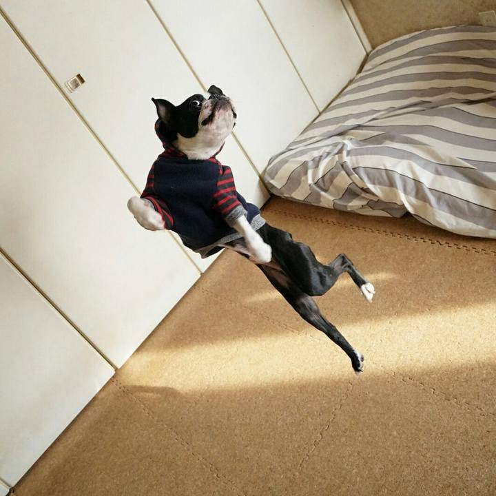 7a1d8001 1c40 4081 8fb3 5bcb44cbfadc