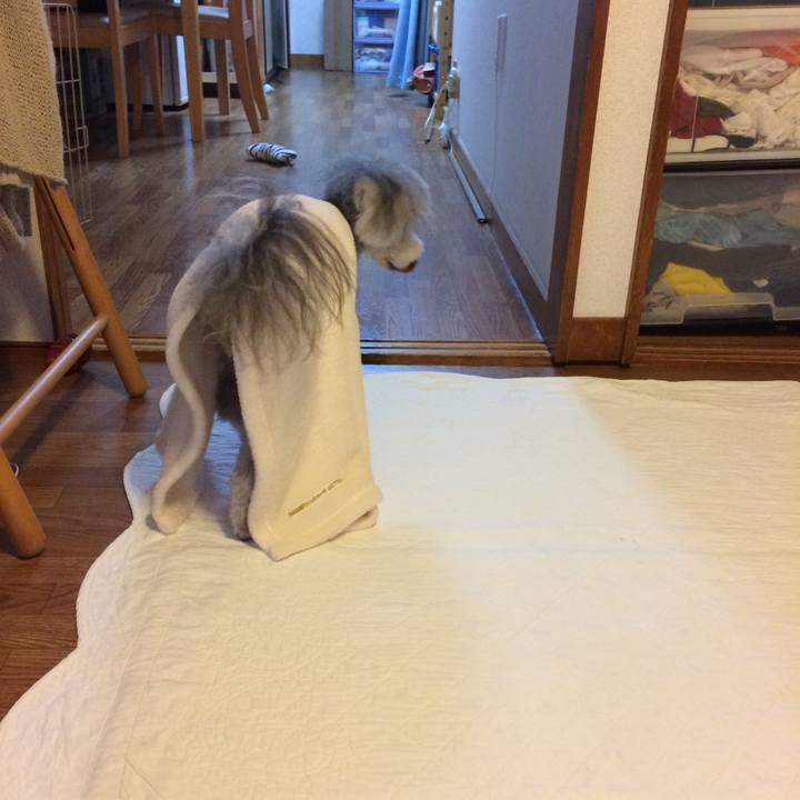 7a1dae18 dcbd 4c20 9f40 7eab6823d9ec