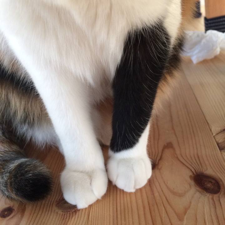 7a1dc3f8 8df3 4815 be58 47469113ebfb