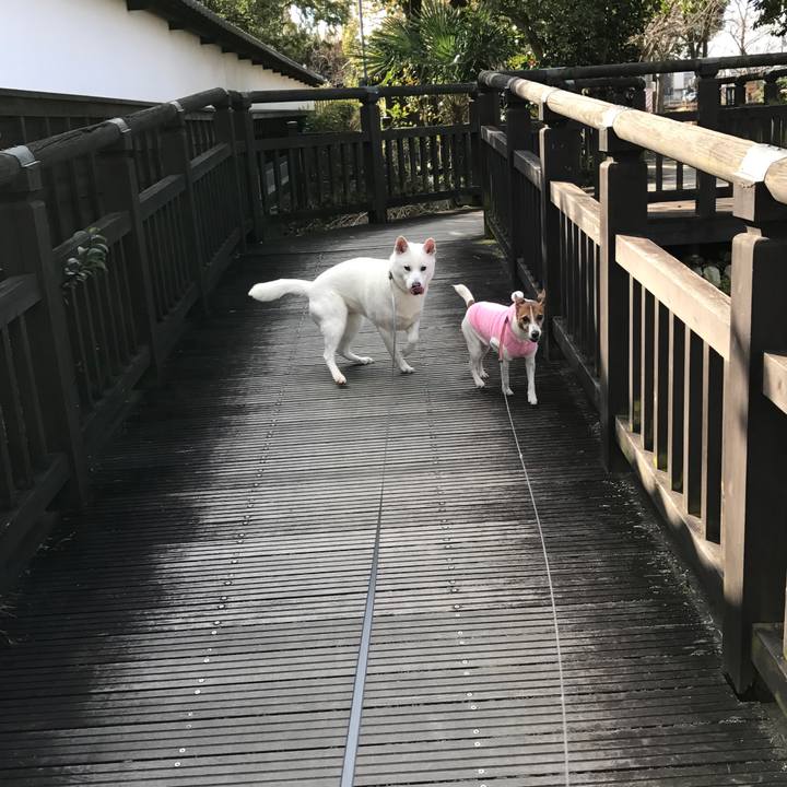 7a1e6311 c50b 45a9 b315 3eaf4c5cab88