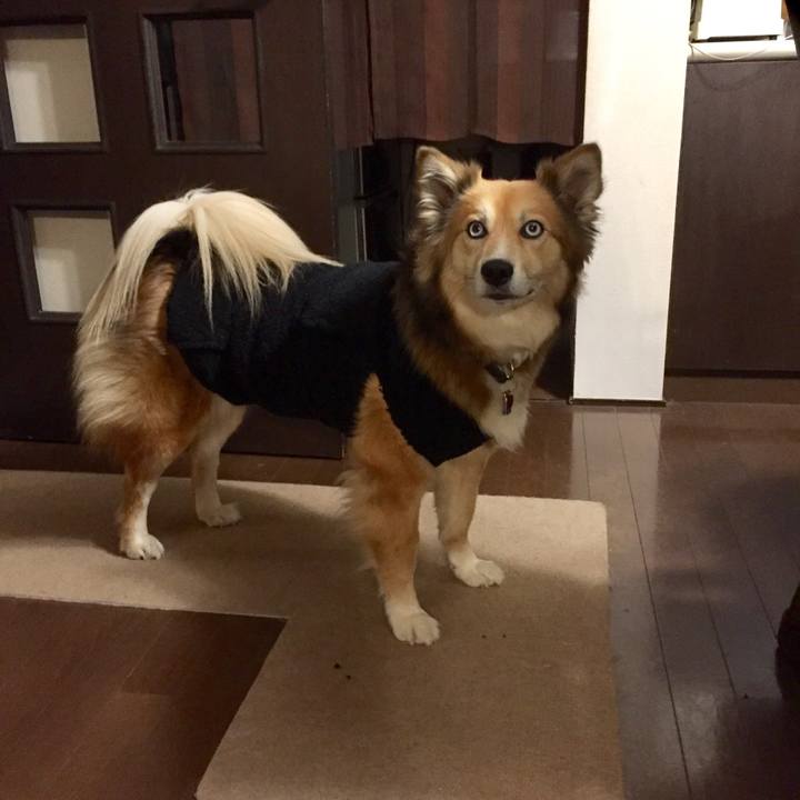 7a1ec1d1 3fe0 45c5 a7c2 7f92b5f778ef