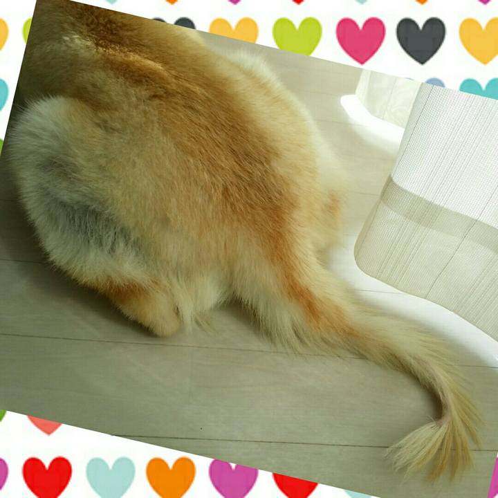 7a1edda9 f9f8 4b3e b707 8cbbe328bbae