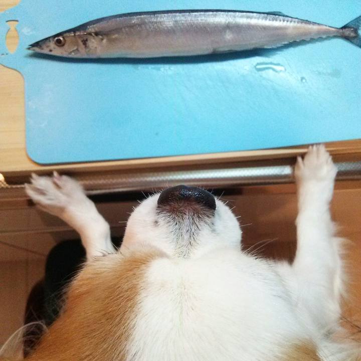 7a1ede4b c18e 41a0 8c82 6365b558f7d9