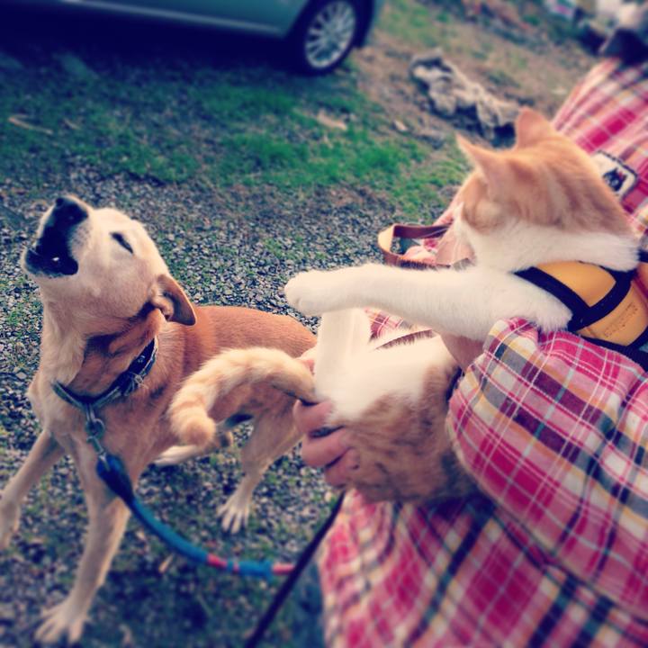 7a1f0816 45cd 4e43 b7ff 552dce2cb4d6