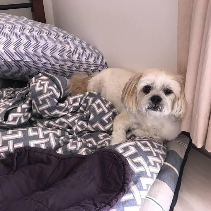 7a1fa633 d5a7 4f29 93d3 f1e5f9c2a702