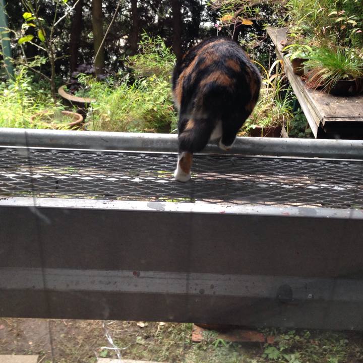 7a202a62 5311 43a9 9163 4d97bc7cf77f