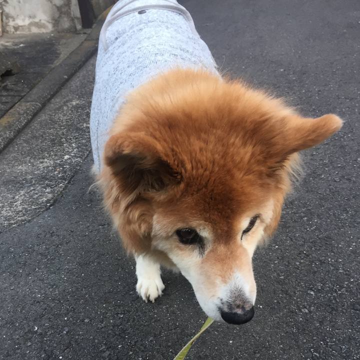 7a210901 c3cb 482f bbc7 df49ea7c04a1