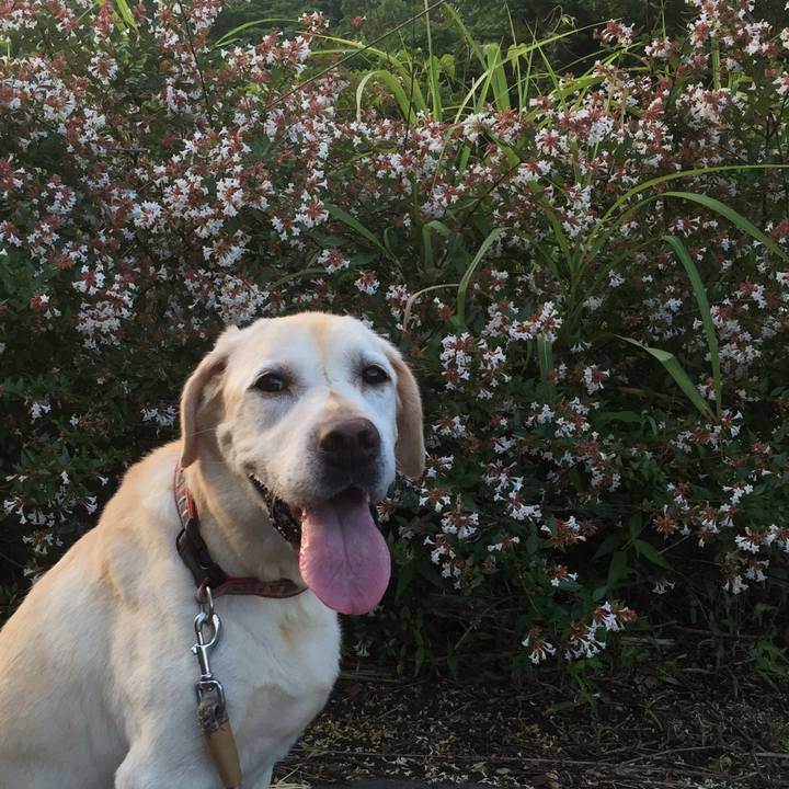 7a213c5a 1248 4d99 aa0b 861b4a909f1b