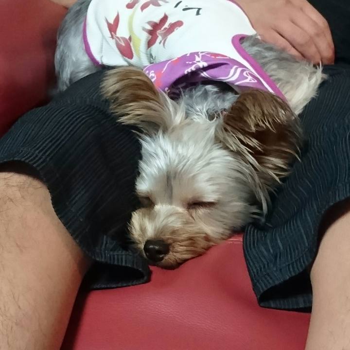 7a2172f4 a465 4705 ae28 33dbd1e8cc8d