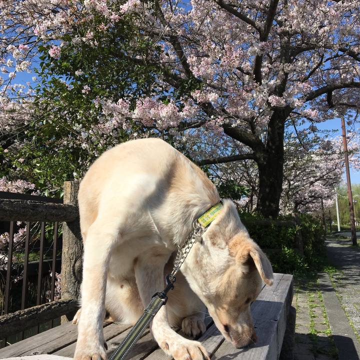 7a22107d bf0b 4e67 bd70 f2df0cabd045