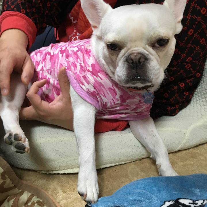 7a22f646 09a5 4bb8 8df4 6e352f1d3790