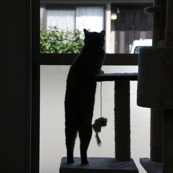 7a2335c4 4a06 4256 91e2 7a2eabdf4bbe