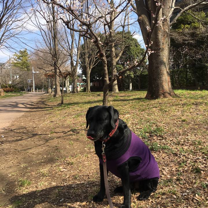 7a2393a0 3a71 4744 87f6 dd9506c49858