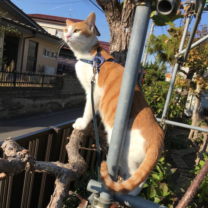 7a24100d 5626 449b acf1 5d7caa4b21e3