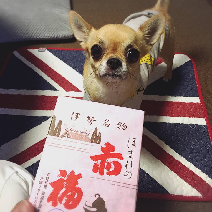 7a2439cb 0afe 4cc6 ae3e f412e2337c5e