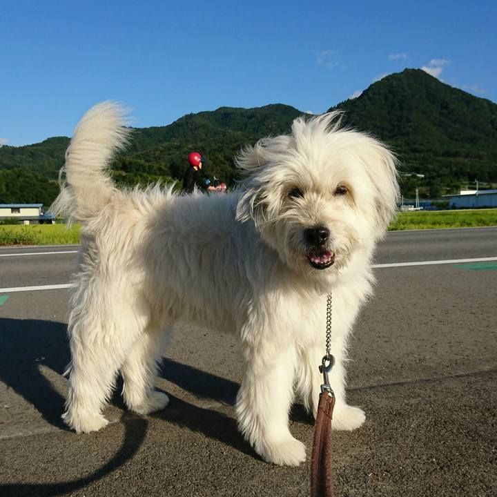 7a250bfe fde8 40a6 9069 86f0d0f6e002