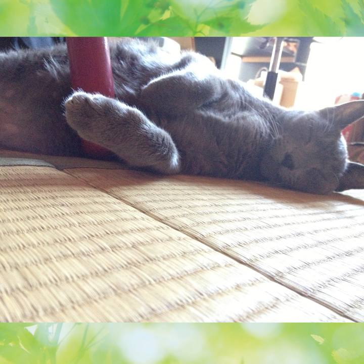 7a258430 2601 449e 96c0 e2bba1abb7b0