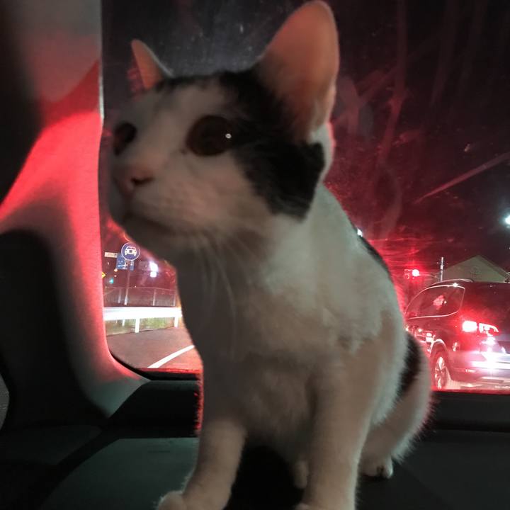 7a25b790 8934 4be3 95b7 22df8d5c905d