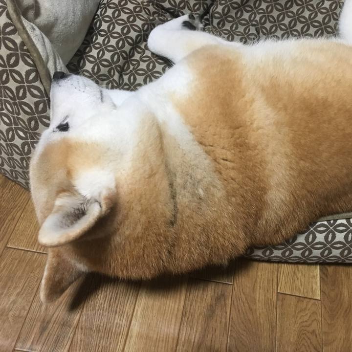 7a260d37 95b0 49c1 a248 1f452e7e60e9