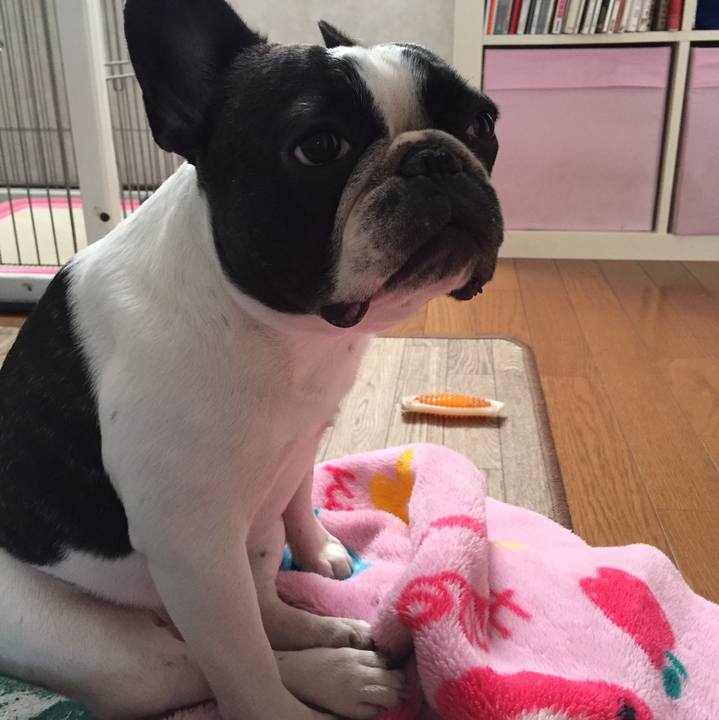 7a26d2d3 b594 4fd8 b8bd d1de295b2786