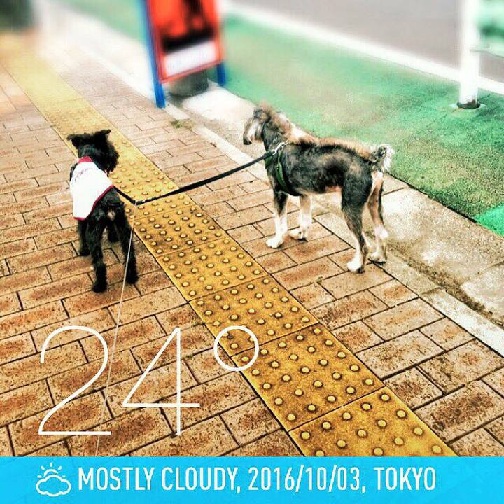 7a26f367 e06a 4bfe 93d8 5de70a934b15