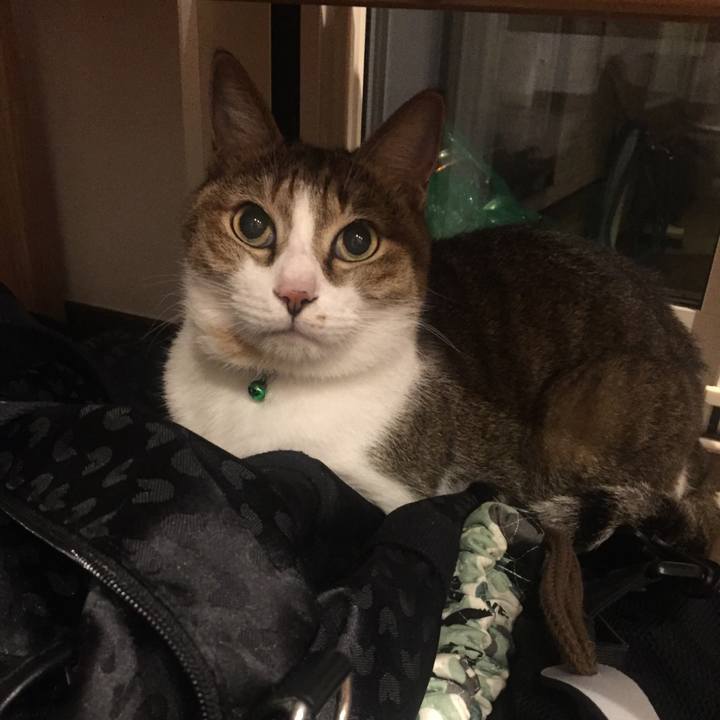 7a270488 ec7f 4926 ad57 87f6b5411b36