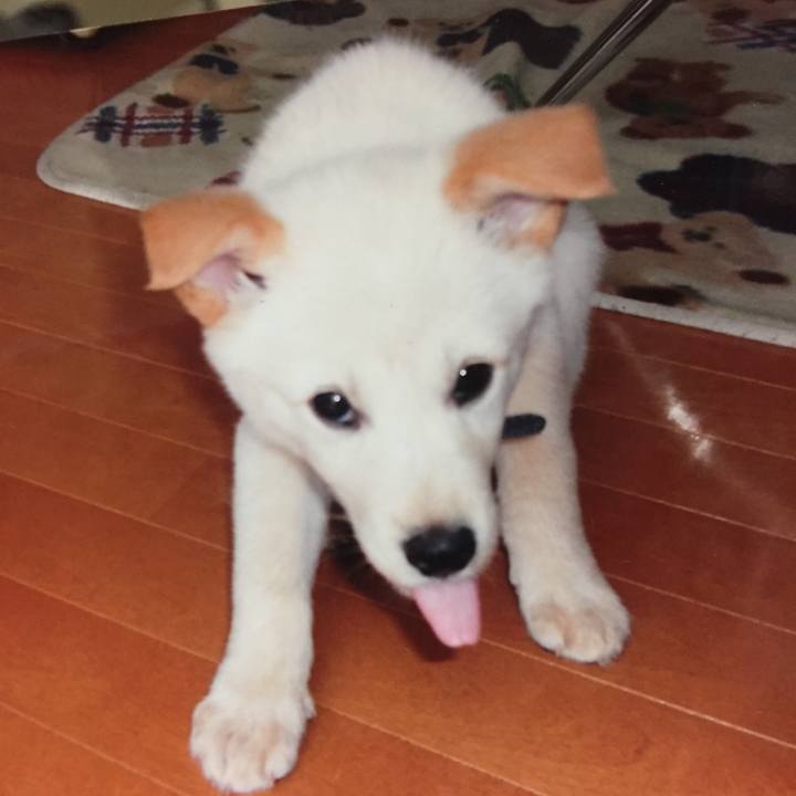 7a2717fd cdf5 4a51 a8c5 77cd9161996b