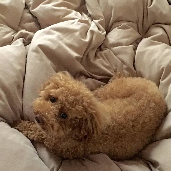 7a2725a7 375d 4b0f a11a 27a7f6ea4272