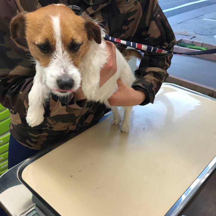 7a273964 c821 4534 b61d 4aaafca108c9