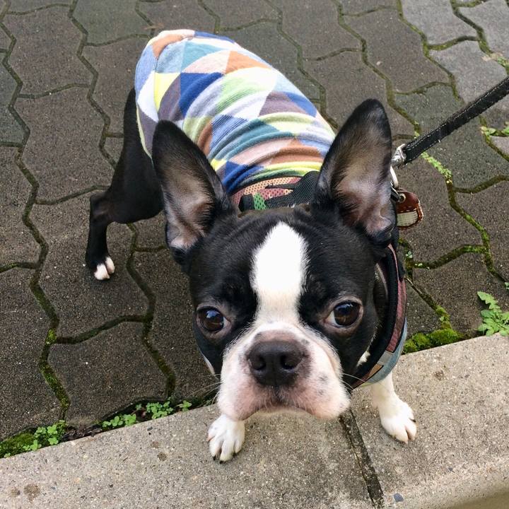 7a275713 24a6 4839 b061 e347d9047882