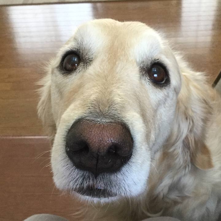 7a287f09 d04c 4ba5 ad3a 454b38493952