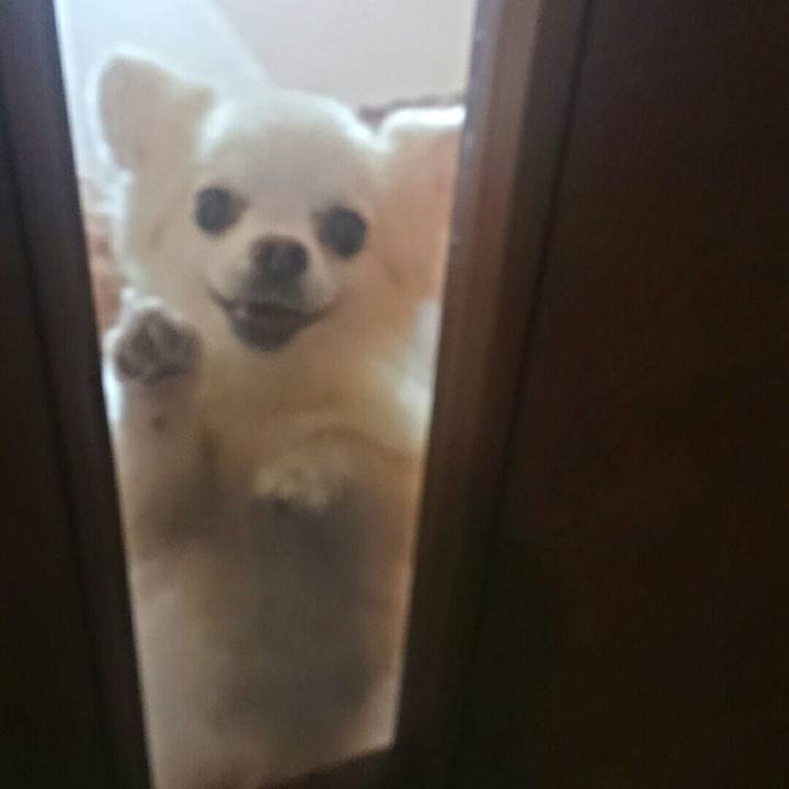 7a28b605 dd59 494d 83c5 38ab8829bdd1