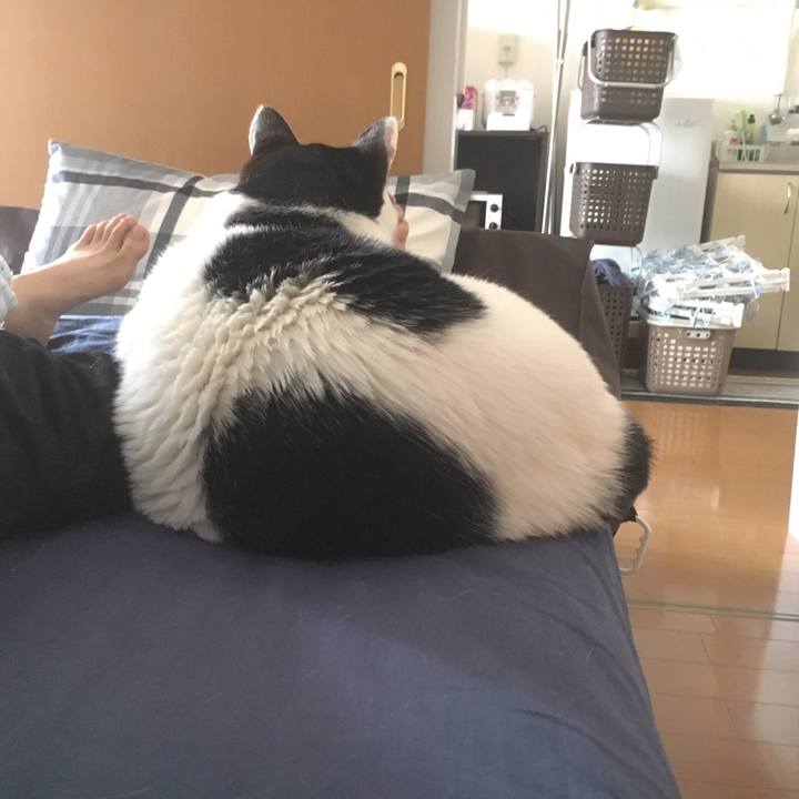 7a28e2de 3df7 43d4 9575 65535fb09ca4