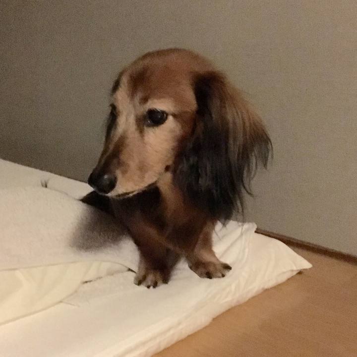 7a29667f 60bf 4436 b613 780af472c6ef