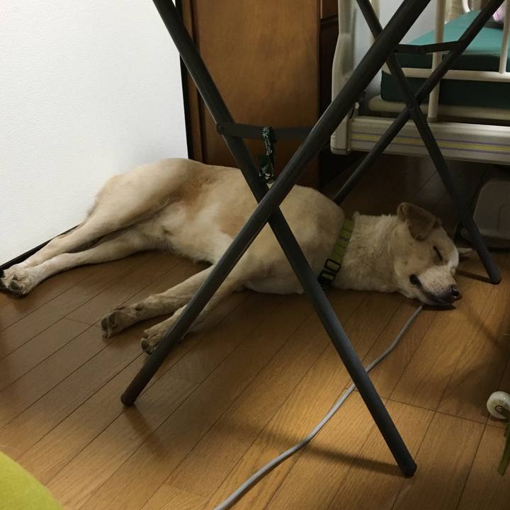 7a29af19 892d 434d 9166 deb6a387be19