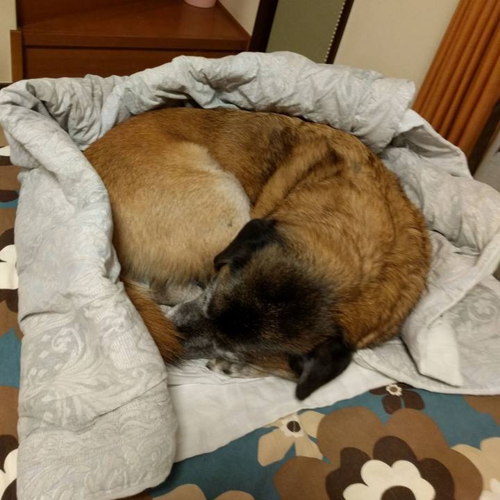 7a29f0ff 12be 4236 a813 dba117b4324d