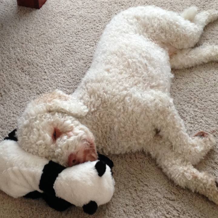 7a2a034c 9cc9 4465 88c7 07e1ebee6143