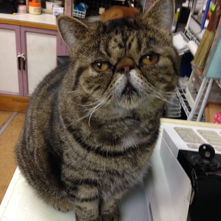 7a2a4fa9 d0b6 4433 8448 e59e95c9112d